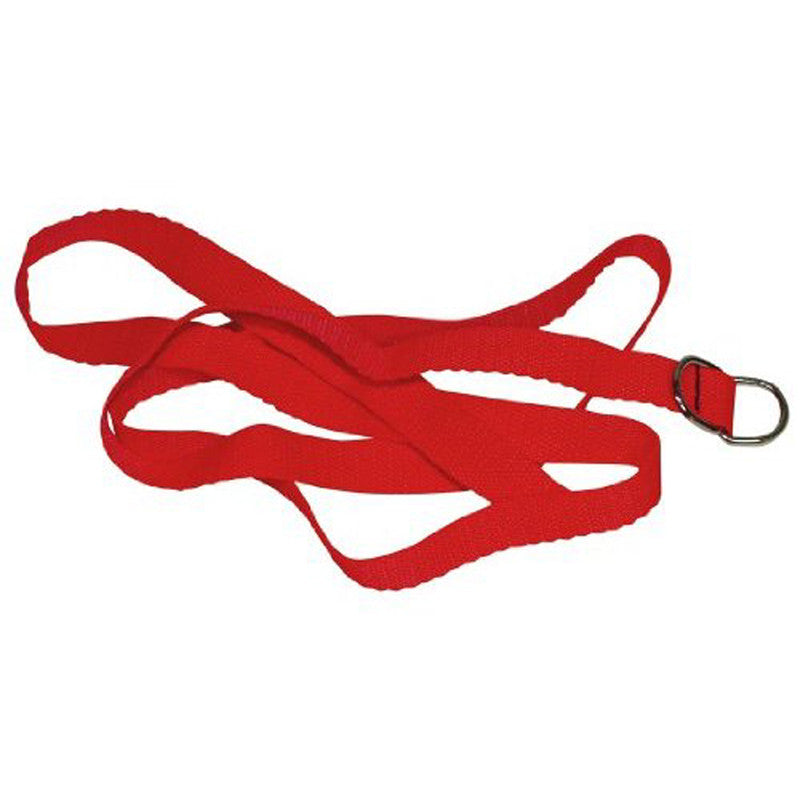 Red Giant Bondage