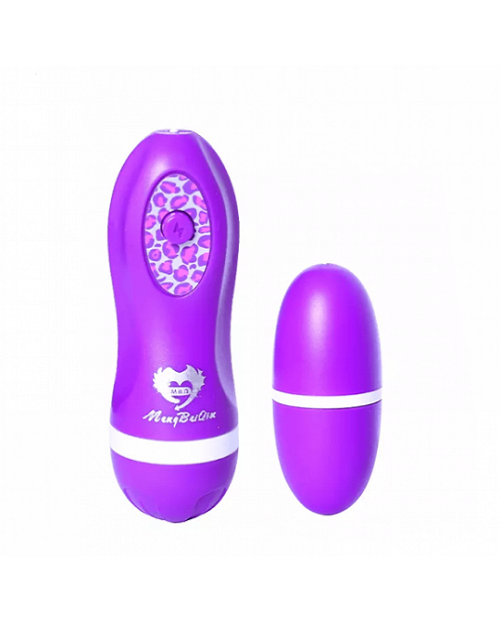 Vibrating Fun Egg  Purple