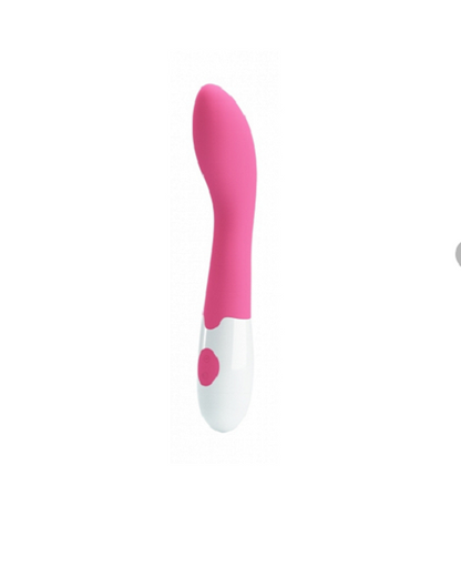 multi speed discreet pleasure vibrator